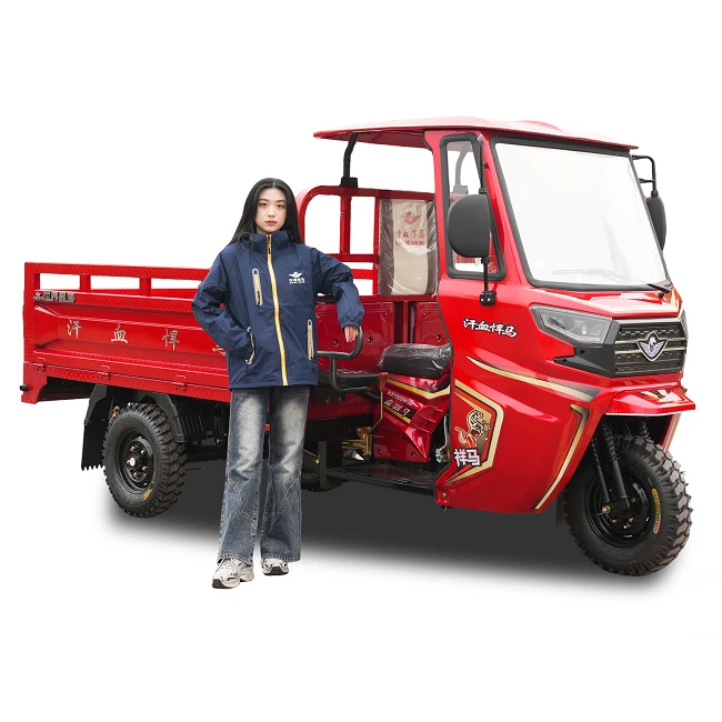 Heavy-Duty All-Weather Enclosed Cargo Tricycle Heavy-Duty All-Weather Enclosed Cargo Tricycle
