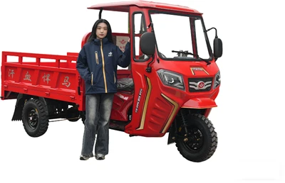 وانت 250cc Plantation Estate 3 Wheel Pickup